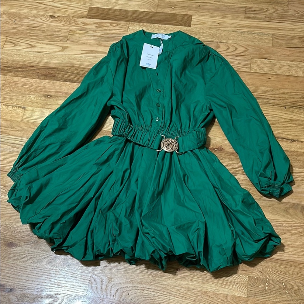 Button Down Shirt Dress Long Sleeve A-Line Casual Puffy Mini Dress with Belt - Picture 3 of 5